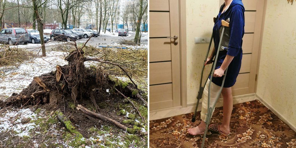 Привезла сына в детский сад — оказалась в больнице. На девушку во дворе упало дерево, что происходит сейчас