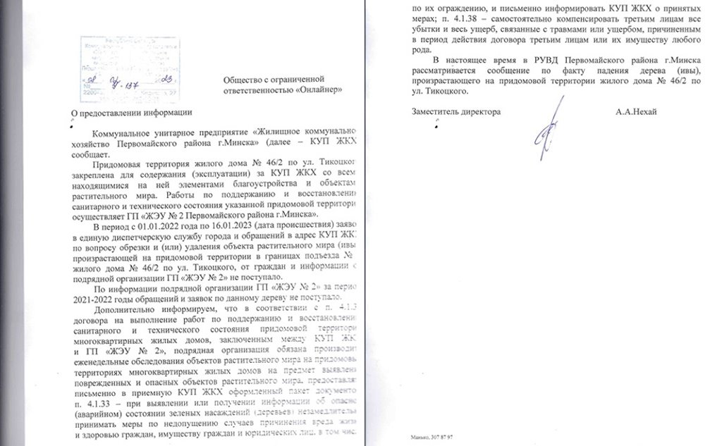 Привезла сына в детский сад — оказалась в больнице. На девушку во дворе упало дерево, что происходит сейчас