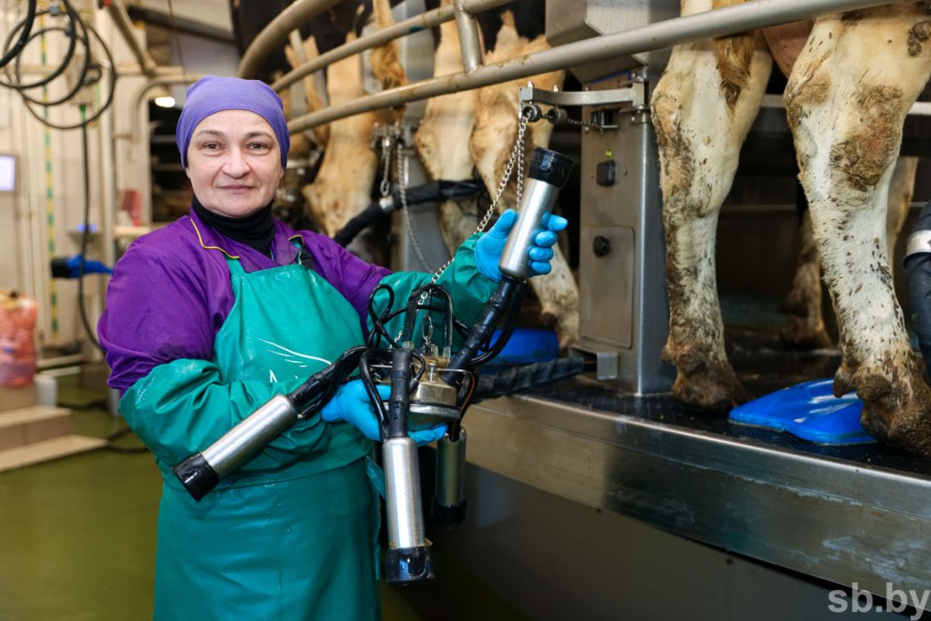 Посмотрели, как в Каменецком районе работает ферма, построенная 2 года назад