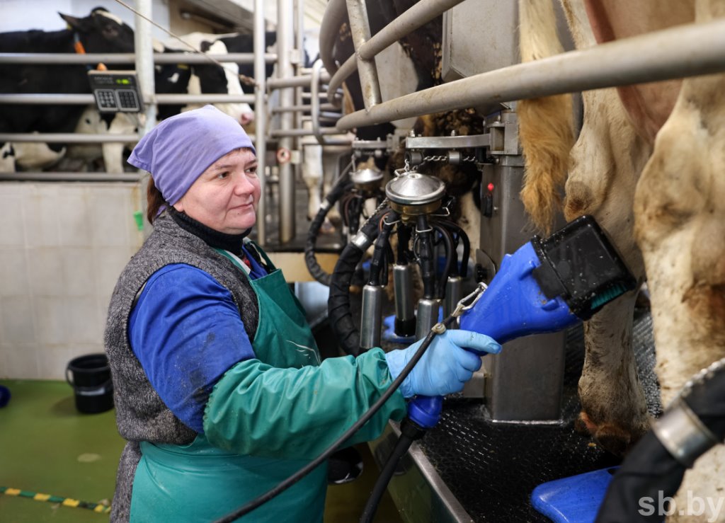 Посмотрели, как в Каменецком районе работает ферма, построенная 2 года назад