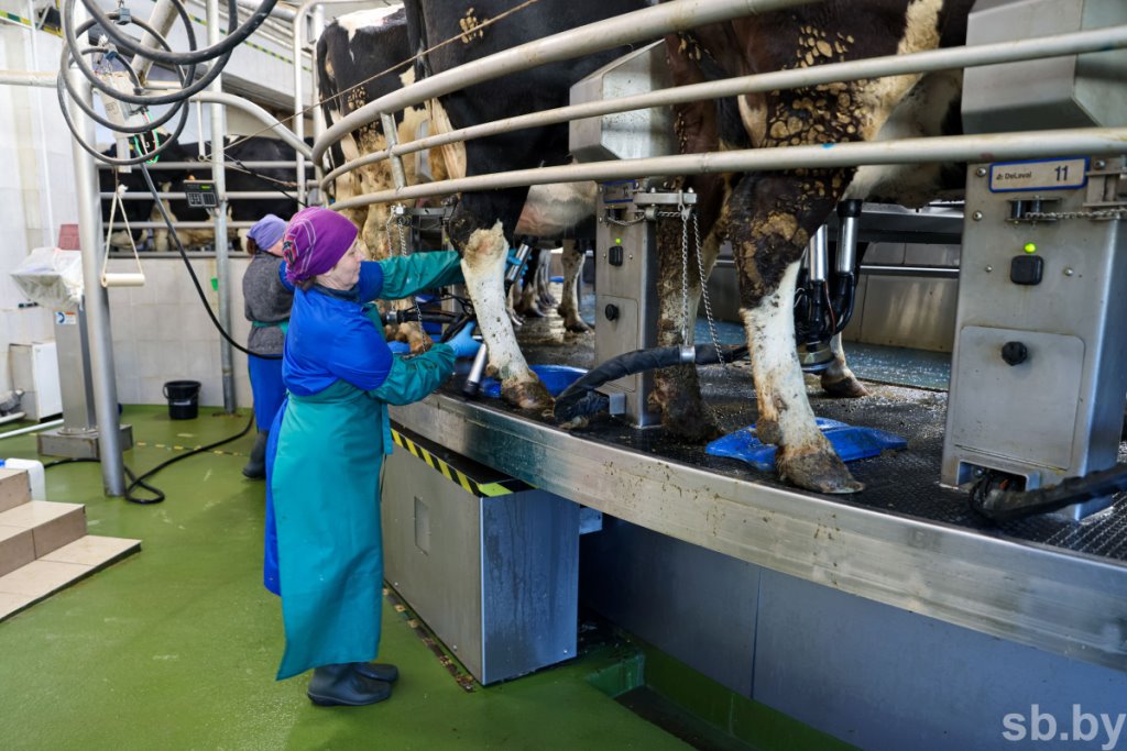 Посмотрели, как в Каменецком районе работает ферма, построенная 2 года назад