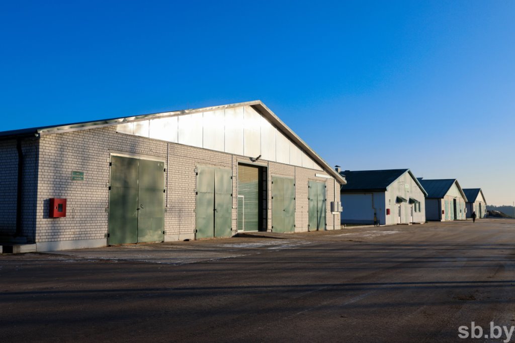 Посмотрели, как в Каменецком районе работает ферма, построенная 2 года назад