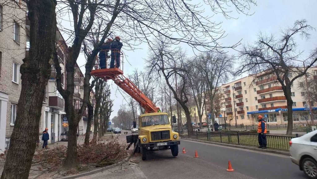 В Бресте проводят плановую обрезку деревьев для их роста, развития и поддержания формы кроны