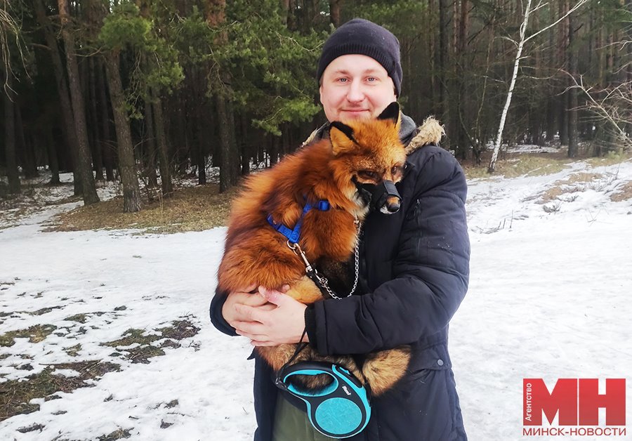 Есть отдельная комната с телевизором. Белорус завел в двушке парочку лис и теперь живет по их правилам