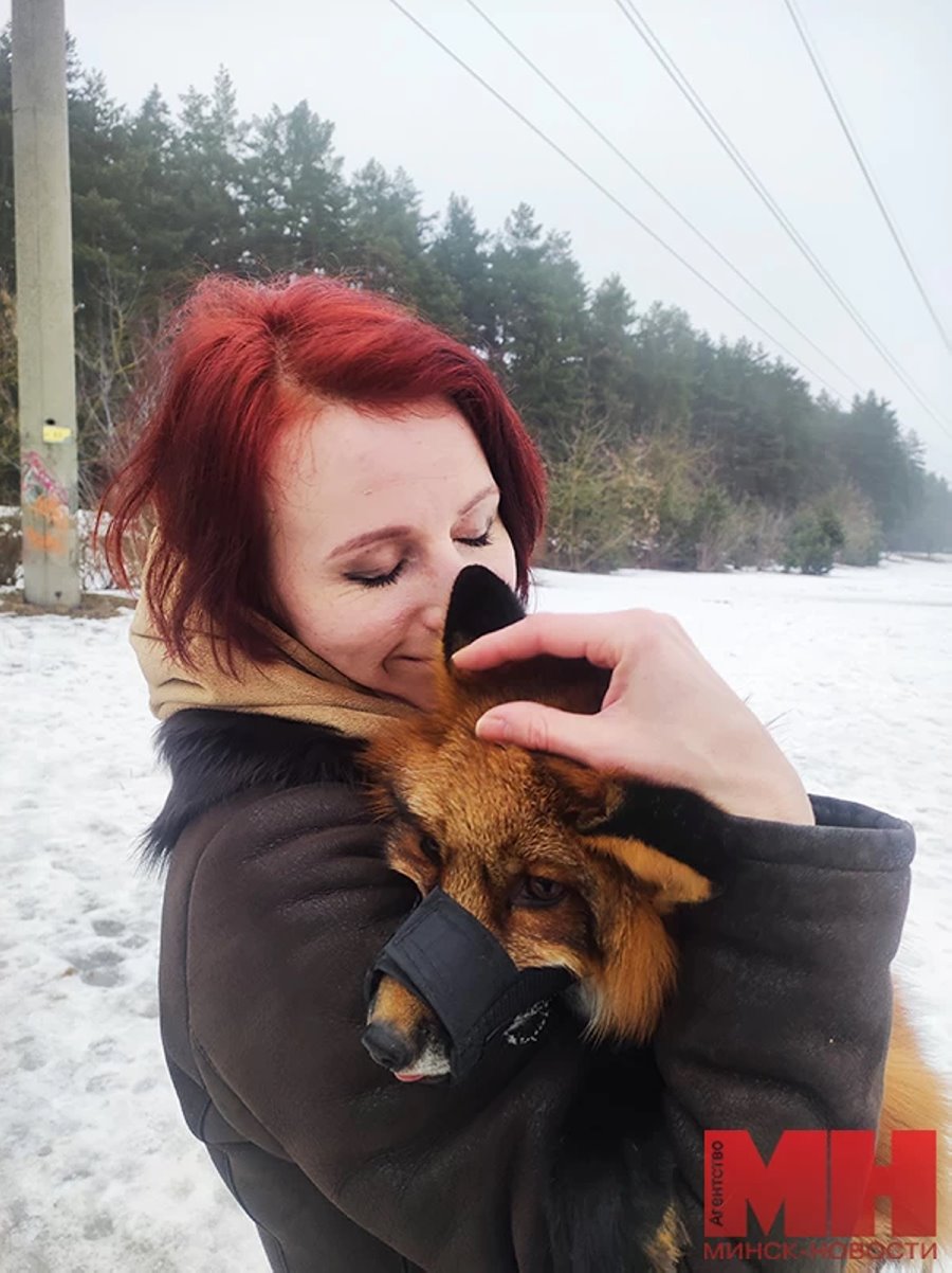 Есть отдельная комната с телевизором. Белорус завел в двушке парочку лис и теперь живет по их правилам