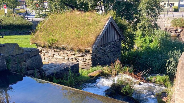 Белорусы поехали на заработки в Норвегию ‒ что из этого вышло