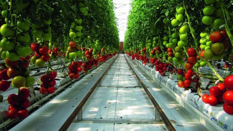 Белорусы поехали на заработки в Норвегию ‒ что из этого вышло