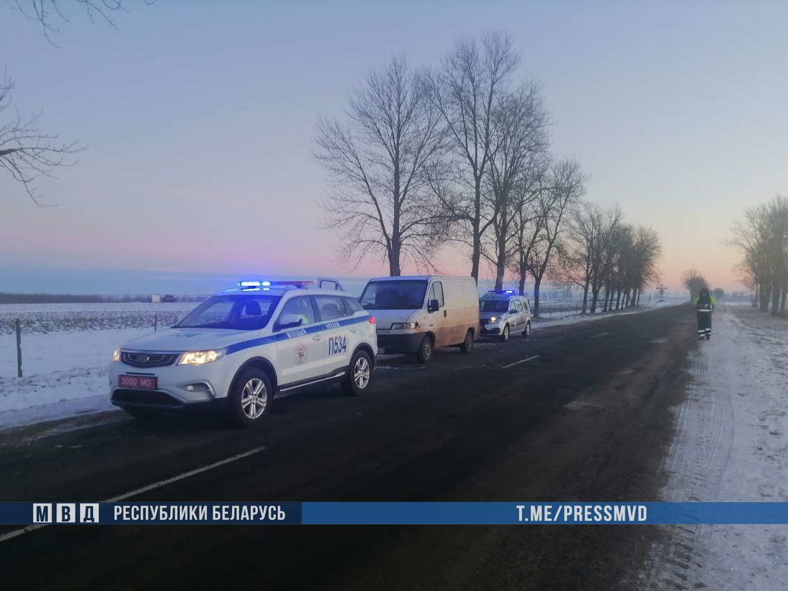 Трех жителей Брестской области задержали за кражу 165 кг рыбы