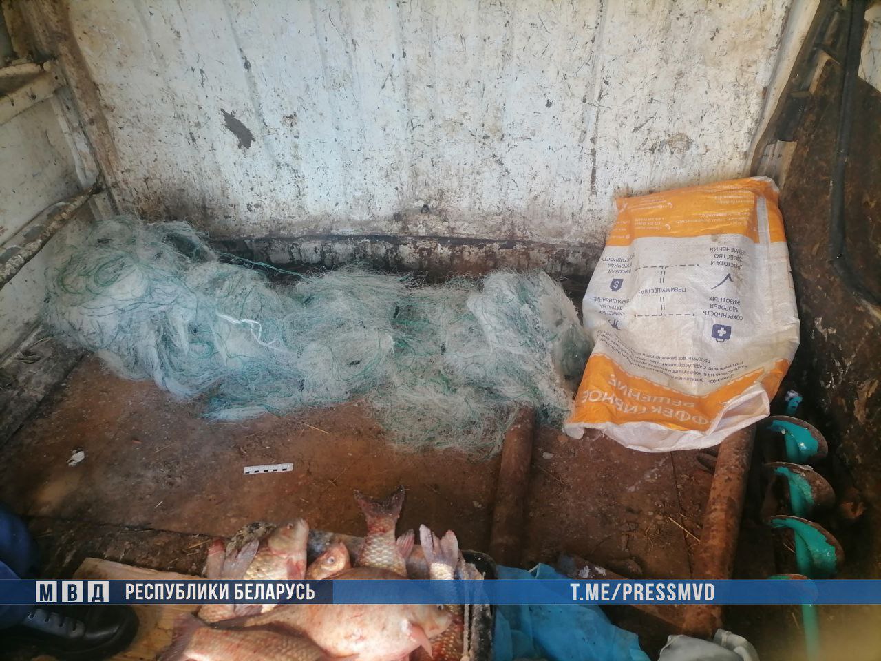 Трех жителей Брестской области задержали за кражу 165 кг рыбы