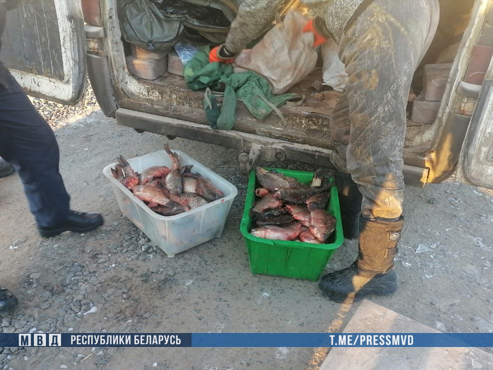 Трех жителей Брестской области задержали за кражу 165 кг рыбы