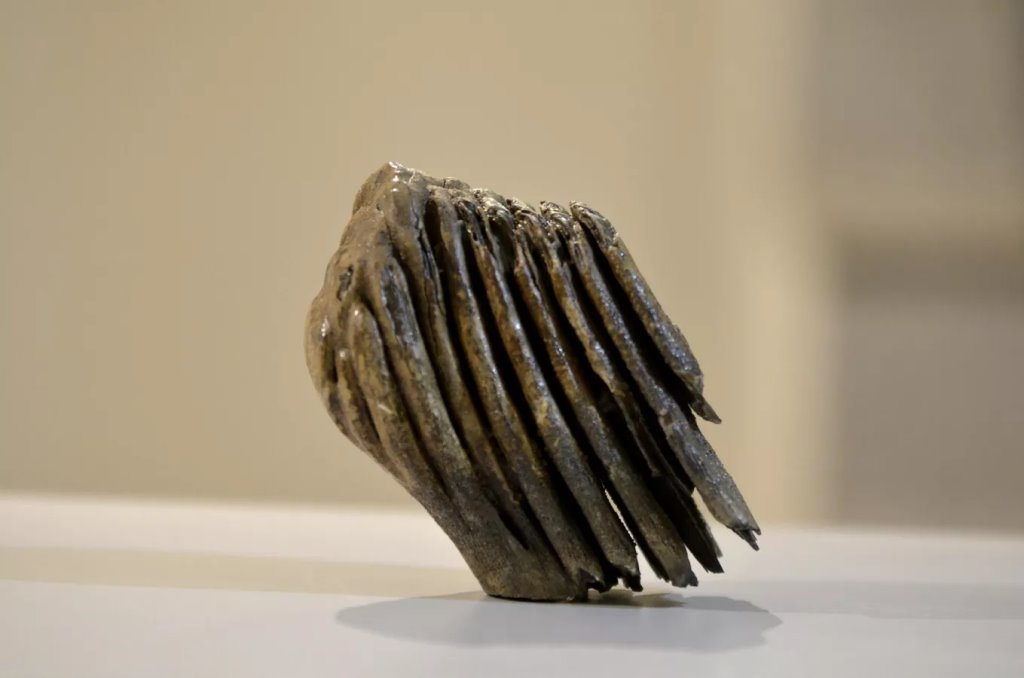 Фото: Sputnik / Татьяна Федоренко