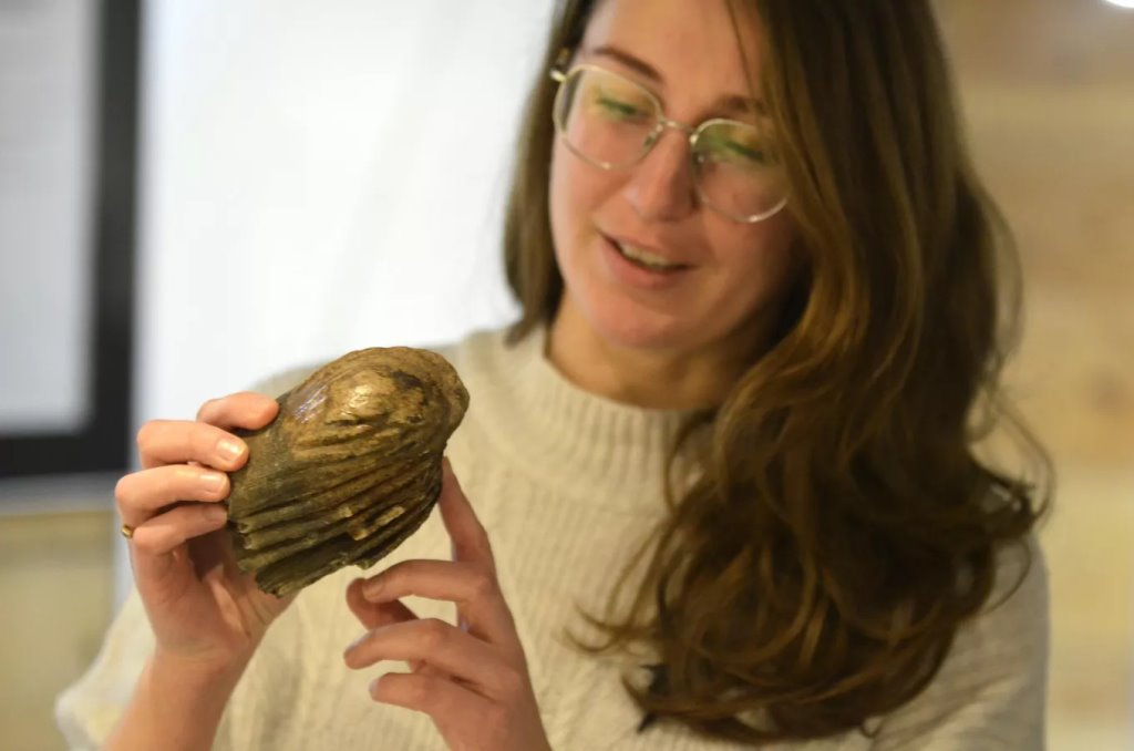 Фото: Sputnik / Татьяна Федоренко