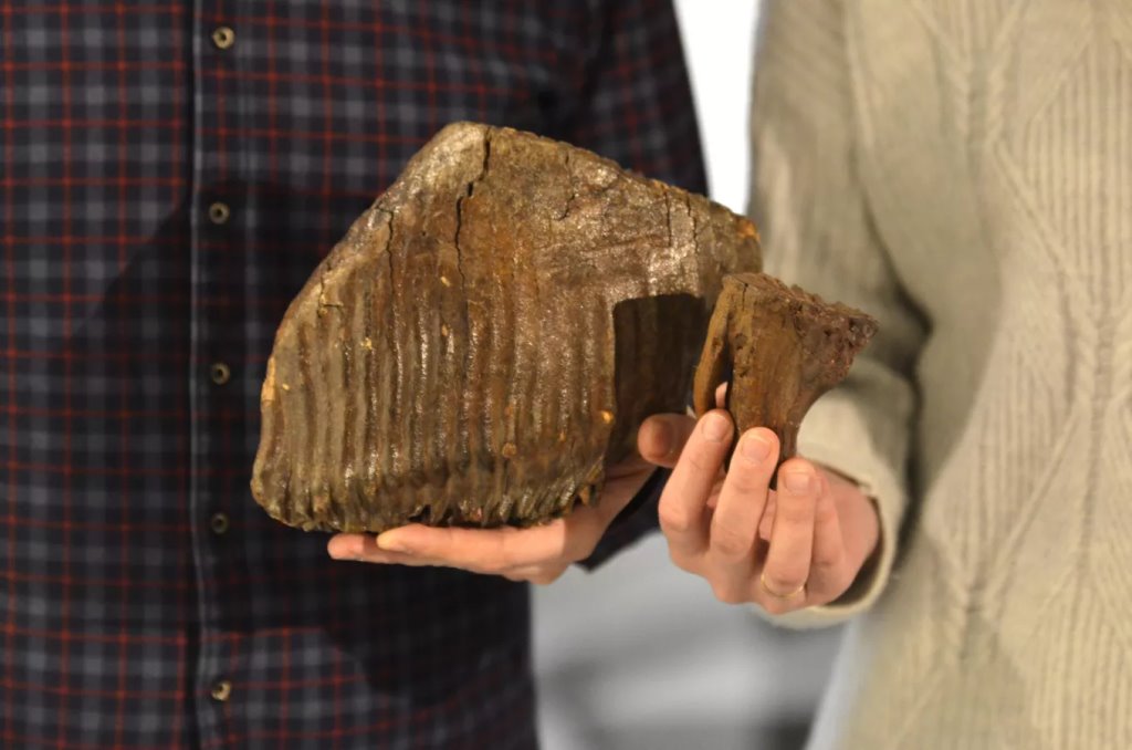 Фото: Sputnik / Татьяна Федоренко