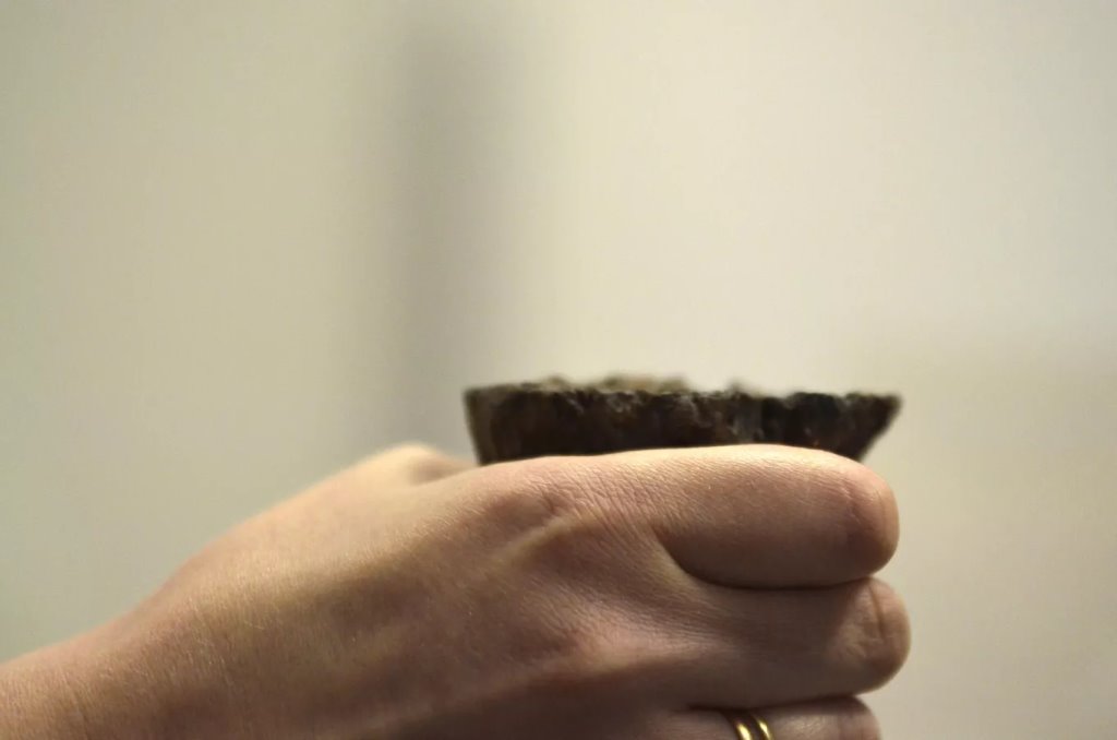 Фото: Sputnik / Татьяна Федоренко