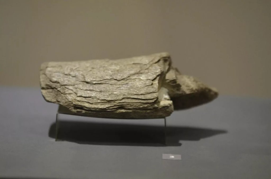 Фото: Sputnik / Татьяна Федоренко