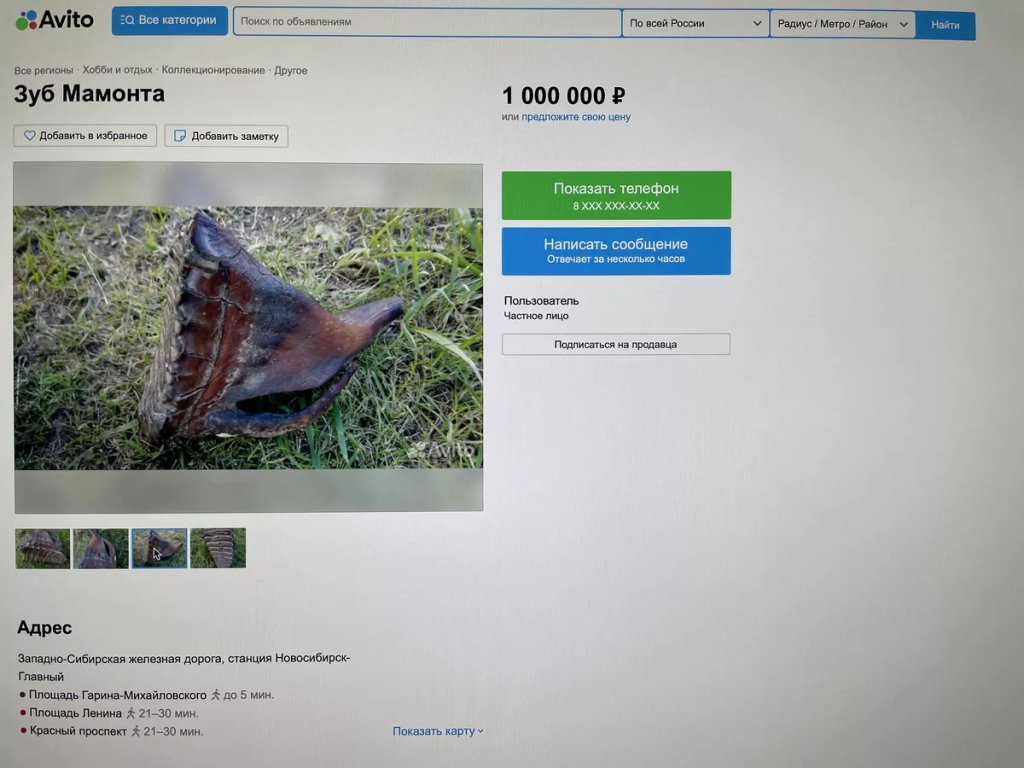 Фото: Sputnik / Татьяна Федоренко