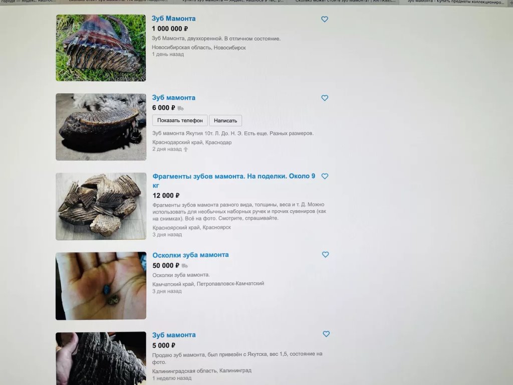 Фото: Sputnik / Татьяна Федоренко