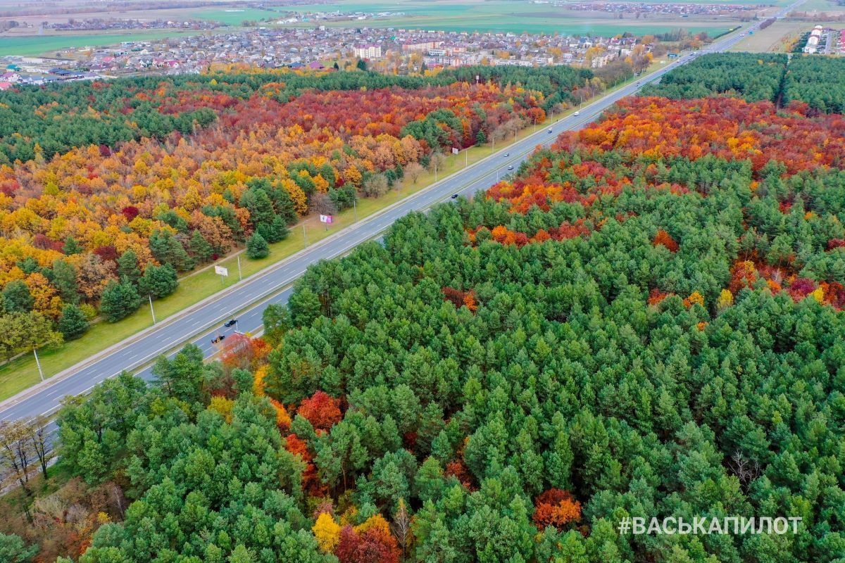 Въезд в Брест с высоты