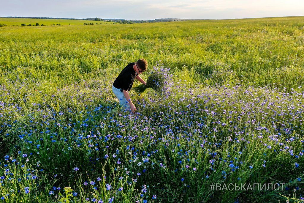Читатель: Красивое поле Васильков под Брестом