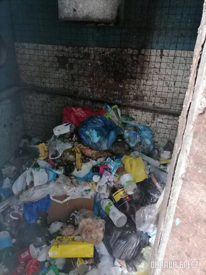 Читатель: Двери вываливаются и не закрываются, контейнеры стоят посреди двора, вонь сумасшедшая, дома окна не открыть. Полная антисанитария