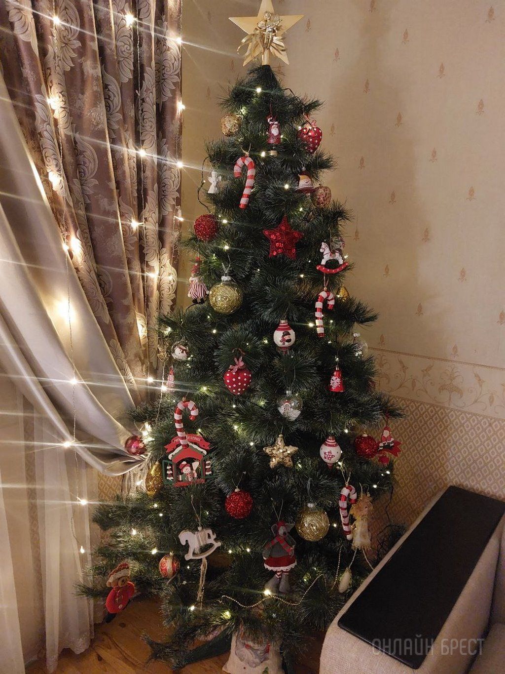 Новогодние красавицы наших читателей