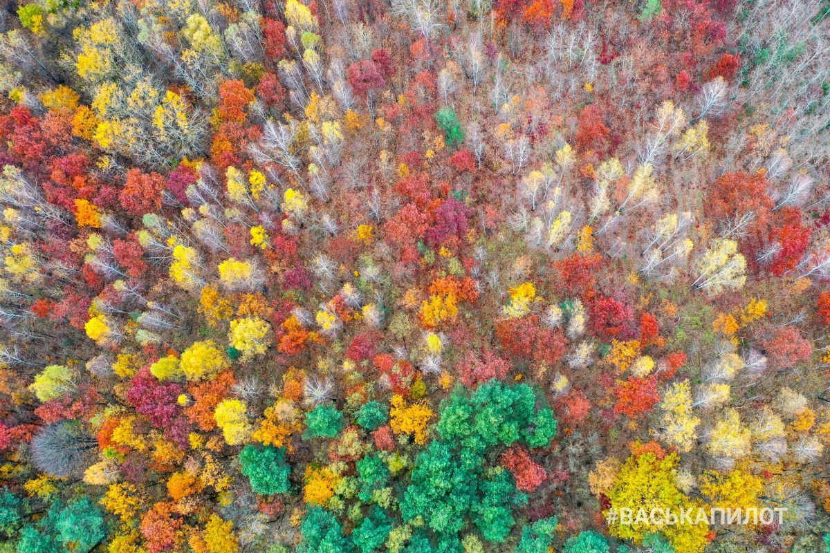 Въезд в Брест с высоты