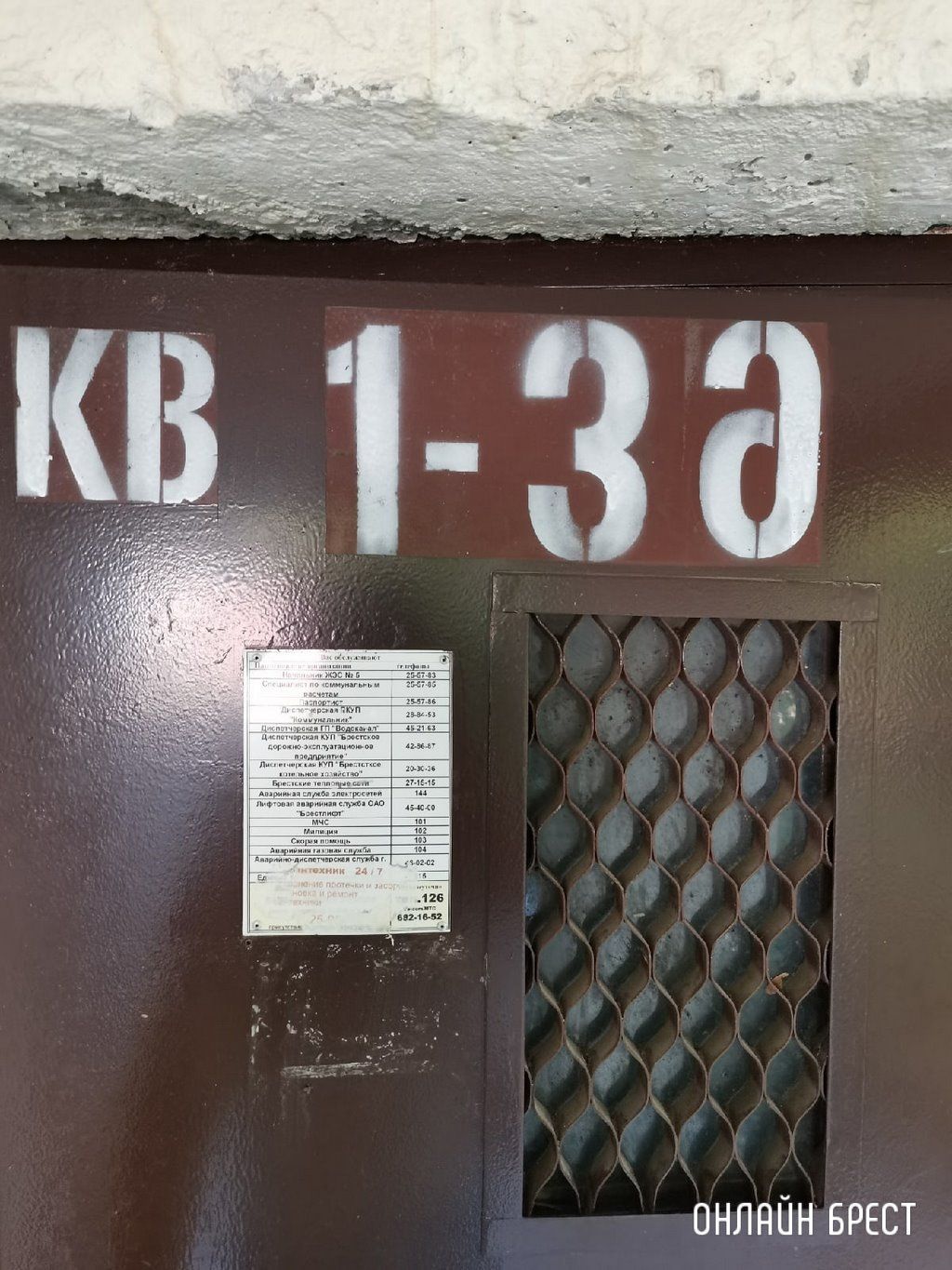 Читатель: Немного позитива в ленту :)