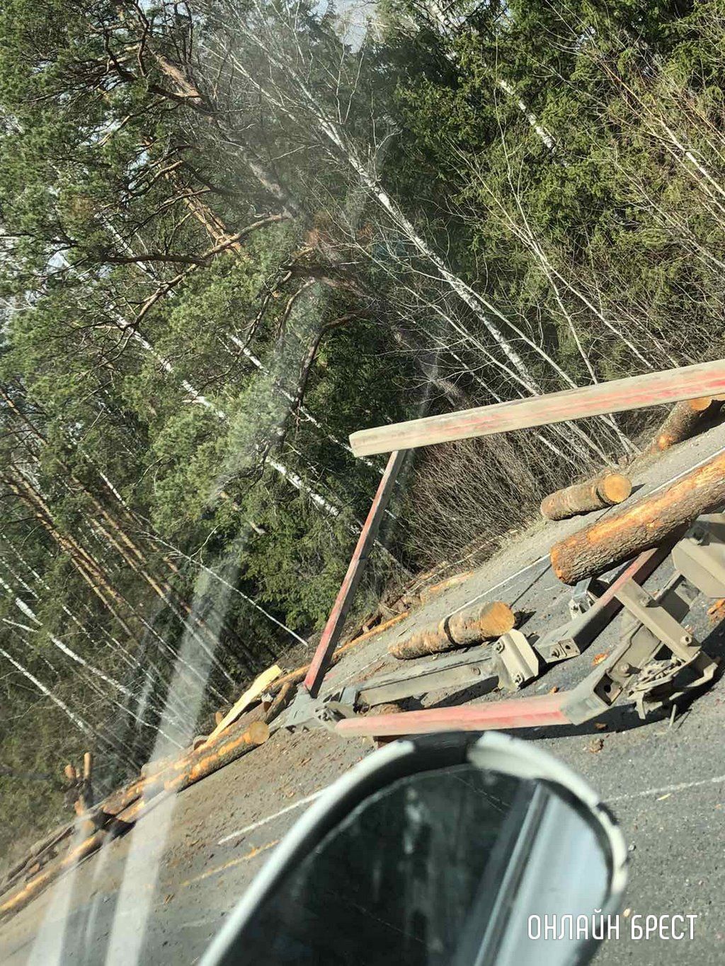 Очевидец: В Ивацевичском районе лесовоз растерял брёвна