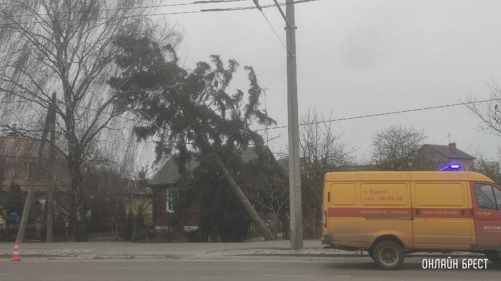 Читатель: Вот что натворил сильный ветер в Бресте