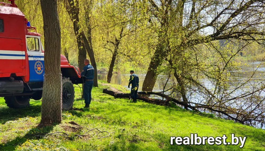 Красят танки и достают из воды деревья в Брестской крепости