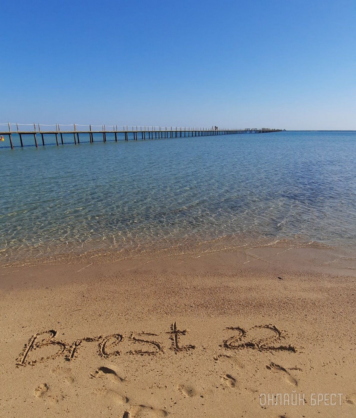 Читатель: Привет Бресту из Египта!