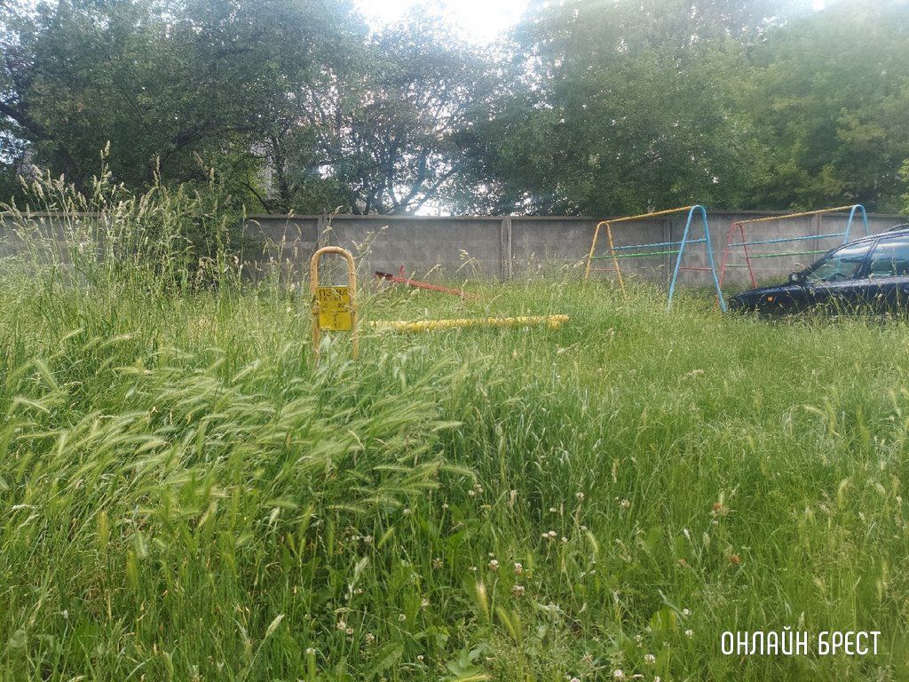 Читатель: Так выглядит детская площадка по ул.Шоссейной, 7. После прогулки во дворе, у ребёнка с одежды сняли клеща