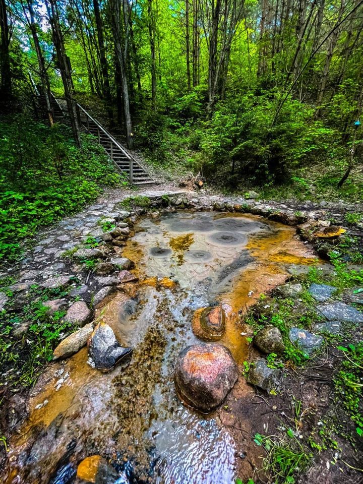 Кусочек атмосферы Азорских островов (или Исландии, по-вкусу) в Брестской области