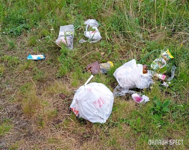 Вот так люди рыбачат в Брестском районе