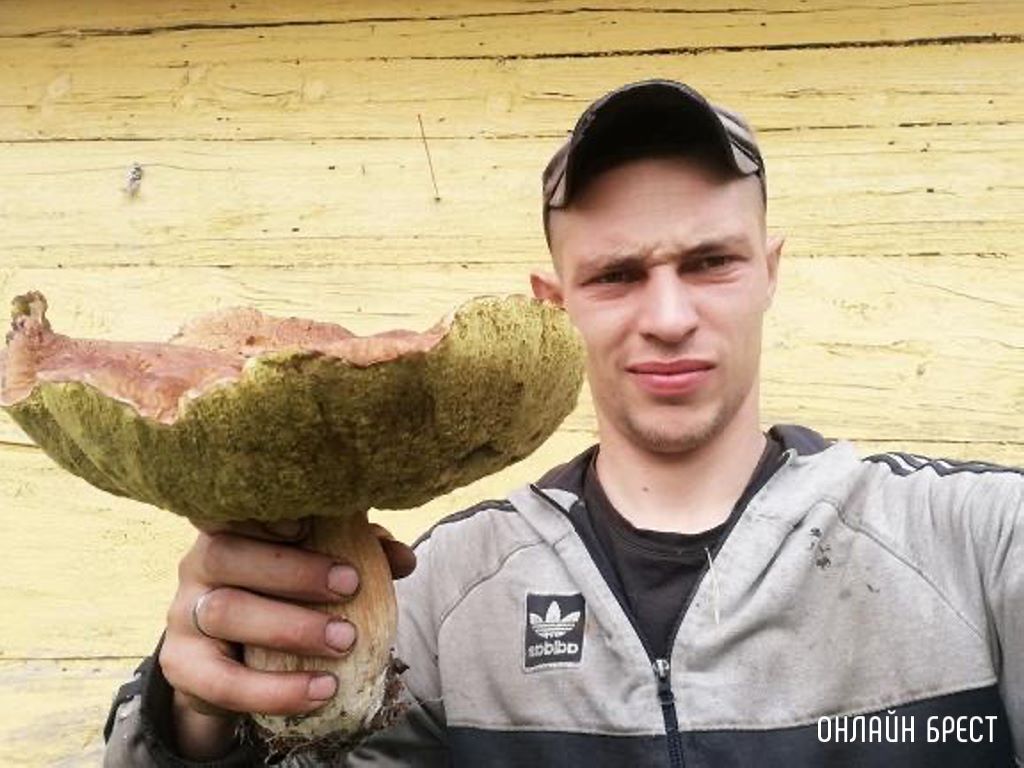 Вот такой очень большой и чистый гриб нашёл в Брестской области в Ивановском районе
