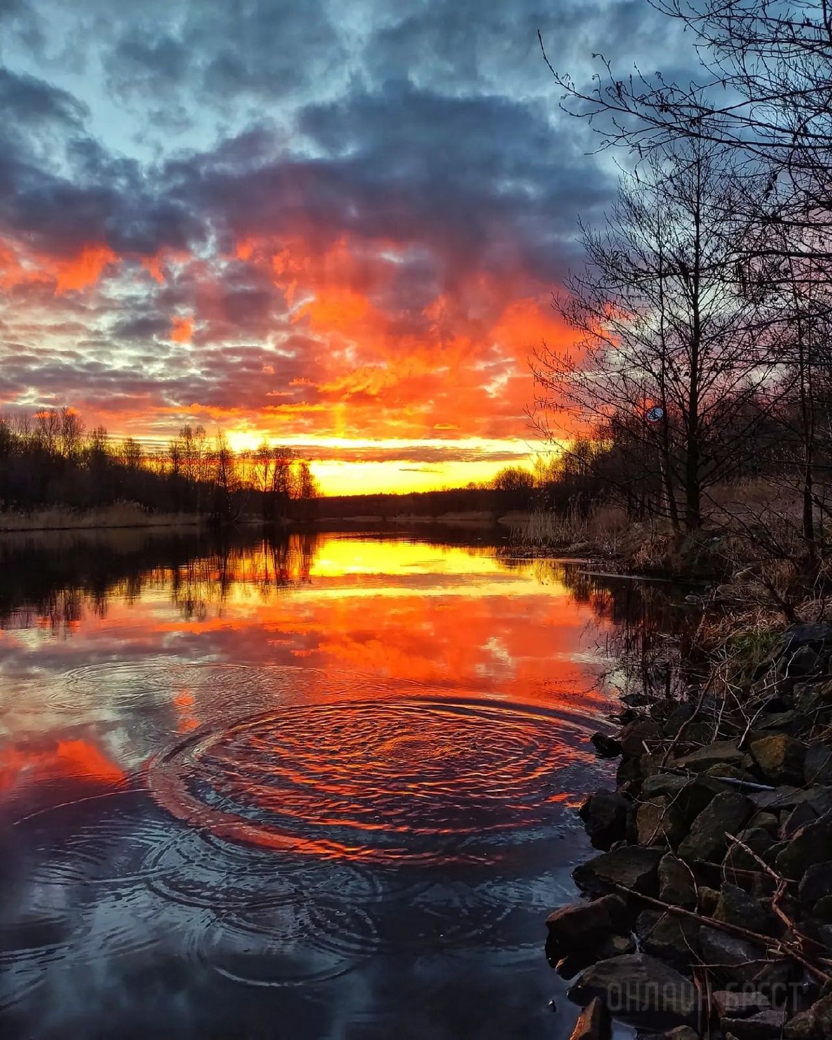 Читатель: Огненный рассвет. Фото сделаны сегодня в городе-спутнике Бреста