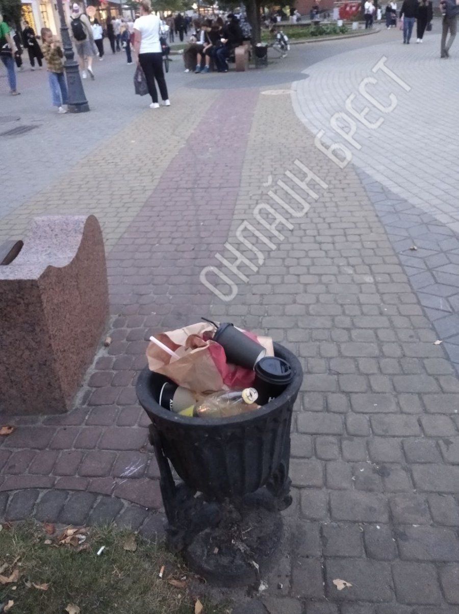 Читательница: Уже не первые выходные наблюдаю такую картину в Бресте на Советской