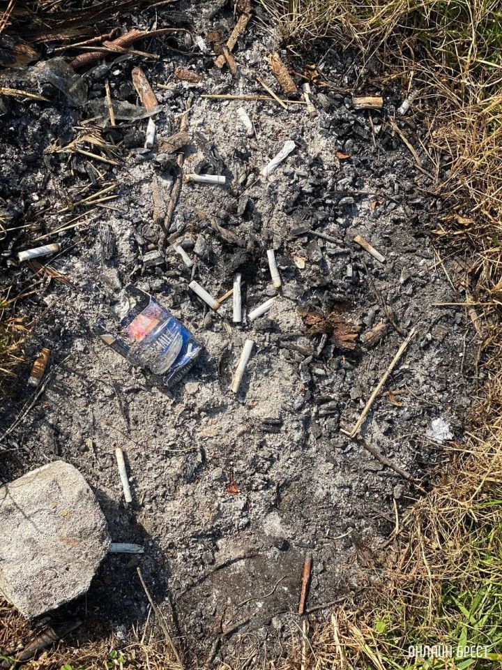 Брестчане, отдыхающие у открытых водоемов, хотелось бы обратиться к вам!