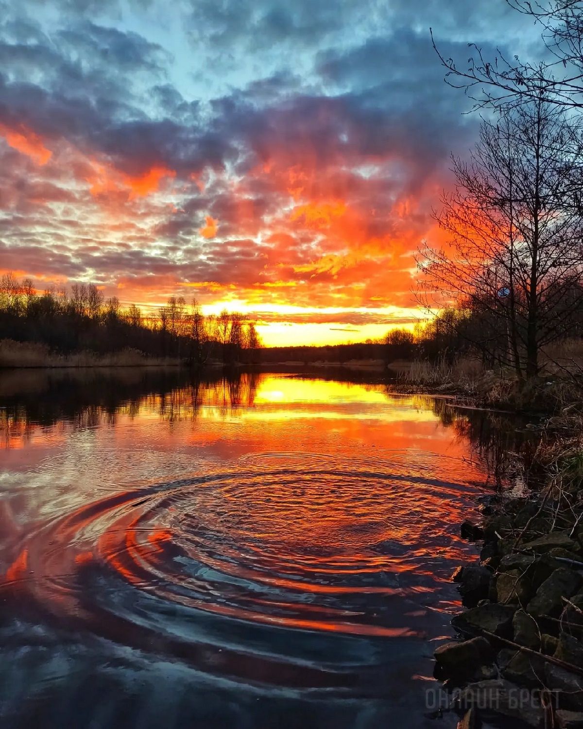 Читатель: Огненный рассвет. Фото сделаны сегодня в городе-спутнике Бреста