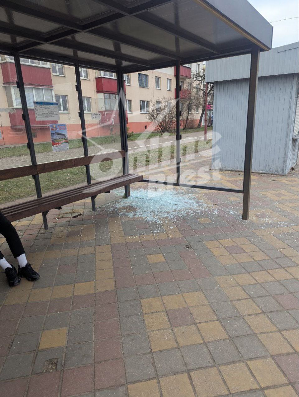 Читатель: На остановке Ковры Бреста