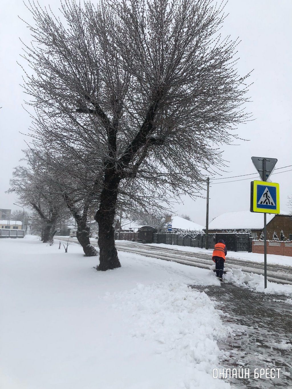 Читатель: Брест, м-н Граевка. Снег принес много работы коммунальщикам. Одна женщина сражаться со снегом!