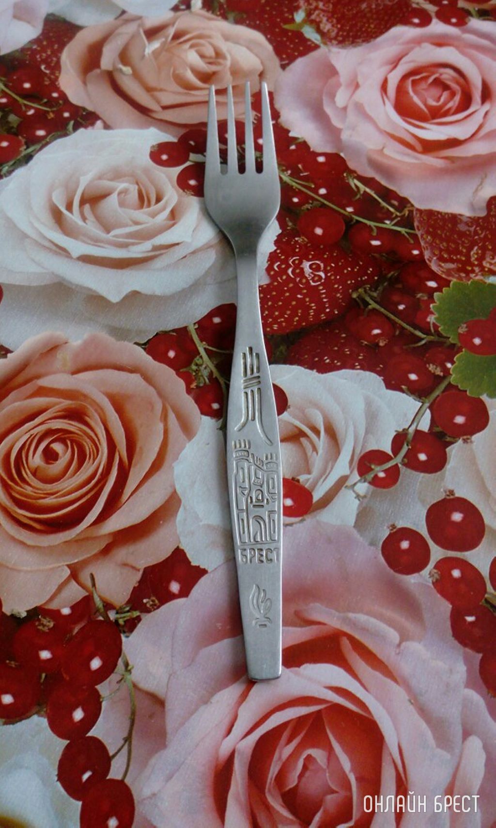 У кого есть такая вилка?