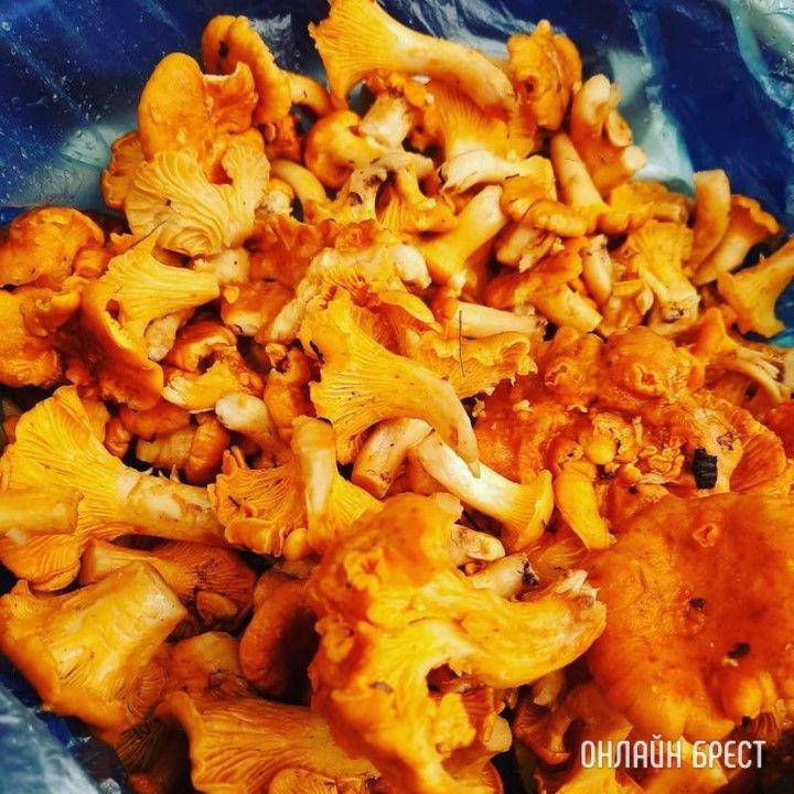 Вот такая красота уже есть возле деревни Лыщики в Брестской области