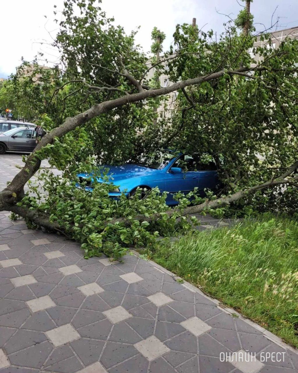 Сегодня в Пинске от непогоды пострадали машины