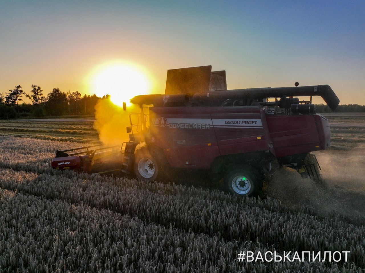 Комбайнеры в поле! Рабочий процесс уборки зерна в Брестском районе