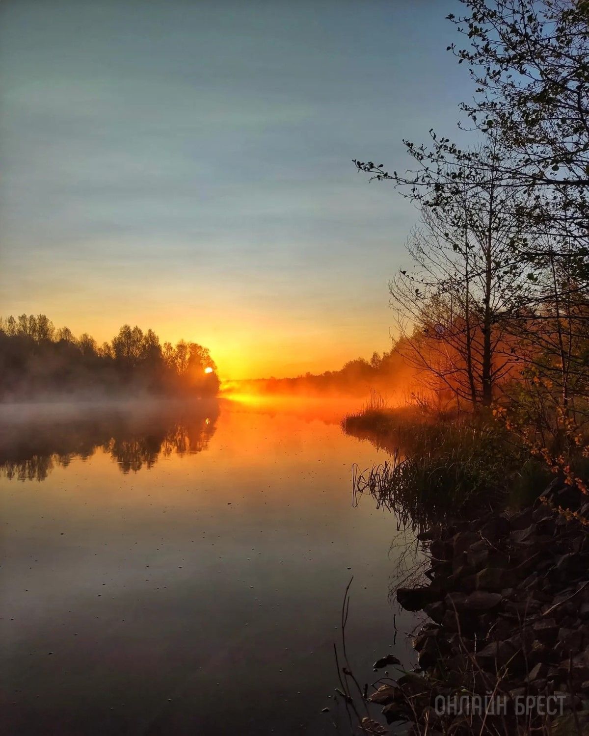 Читатель: Сегодняшний рассвет в  Жабинке