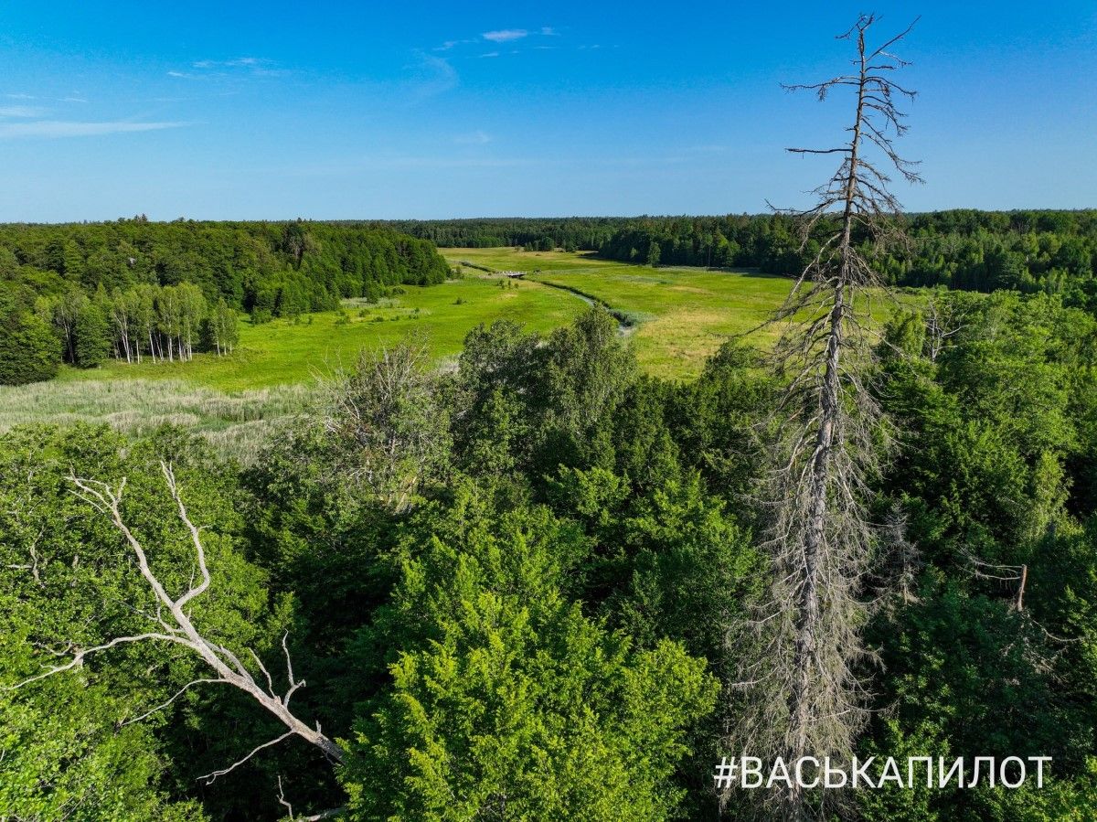 Беловежская пуща с высоты