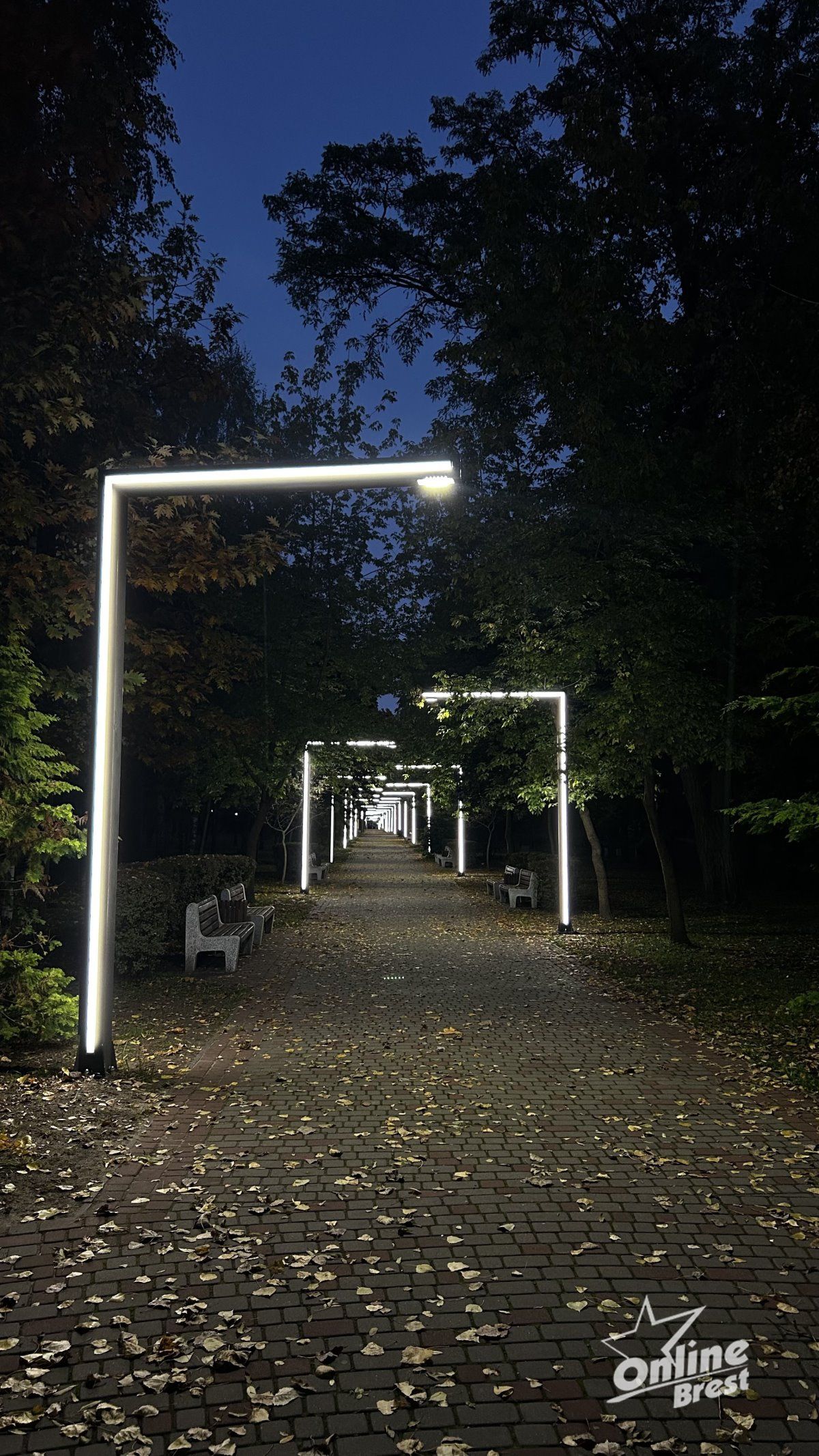 Красота осеннего Бреста: игра света и теней в парке