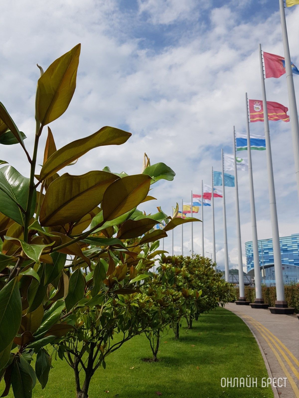 Читатель: Привет Бресту из Сочи!