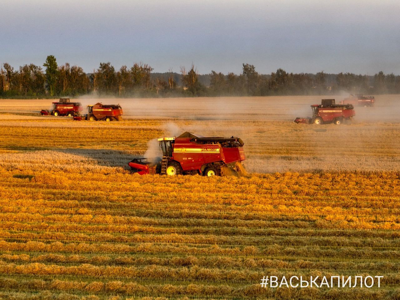 Комбайнеры в поле! Рабочий процесс уборки зерна в Брестском районе